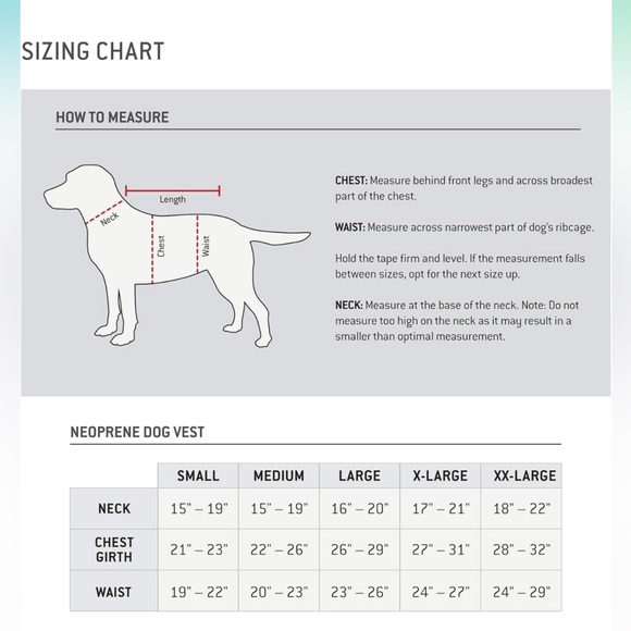 Carhartt Neoprene Dog Vest - Picture 6 of 13